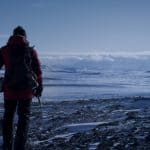 Arctic Movie Review