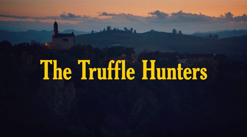The Truffle Hunters Movie Review tmc.io 🍿 watch movies with friends