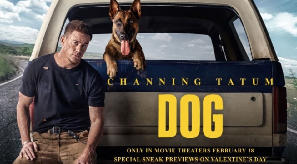 dog movie review